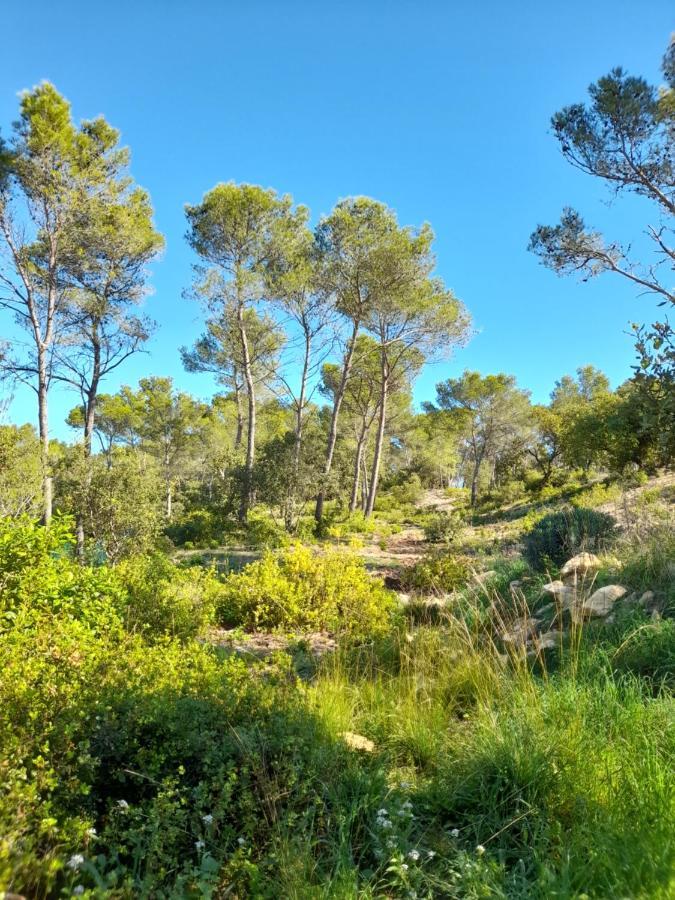 Studio Du Roc Des Garrigues Langlade Buitenkant foto